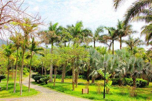 火冒先生火锅冒菜