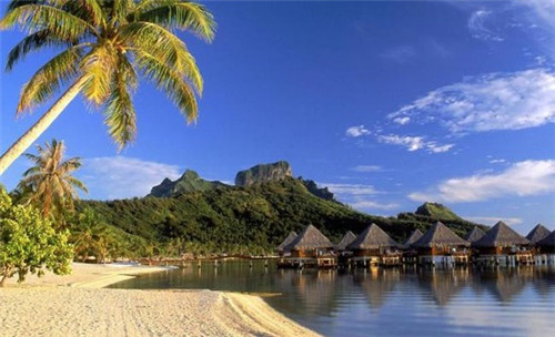 老北京卤肉卷饼