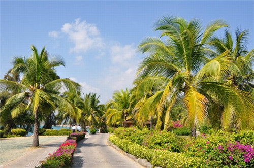 泾源县适合投资小开的婴儿摇床加盟店有哪些