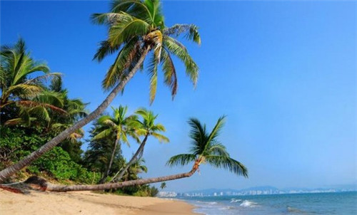 水藻能养鱼吗，水藻养殖加盟费多少