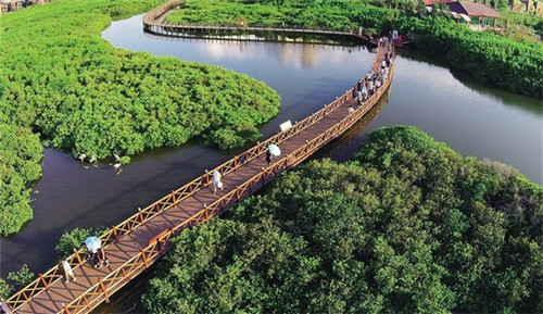 荷叶石锅鱼火锅加盟开店贵不贵