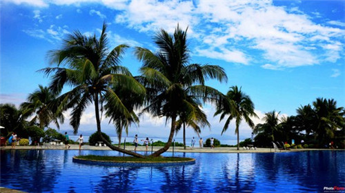 曾经走过的路都是风景的歌名（曾经走过的路dj）