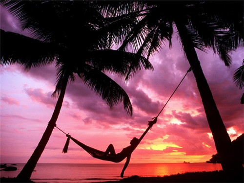 仙蒂兰德品牌标志（仙蒂兰德旗舰店）