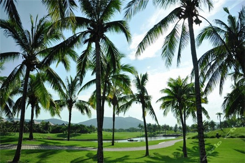 最深的绝望与崩溃是什么歌（最深的绝望里看最美的风景）