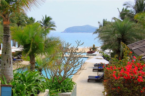 大刀豆炒肉末怎么炒（刀豆炒猪肉）