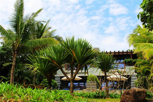 玩lol手游的都是多大的人（英雄联盟手游需要多大）