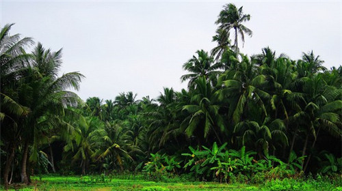 共享自助洗车加盟费多少