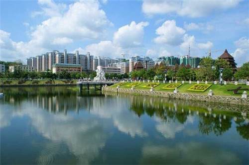 混合生物的小游戏叫什么（混合生物酚是什么）